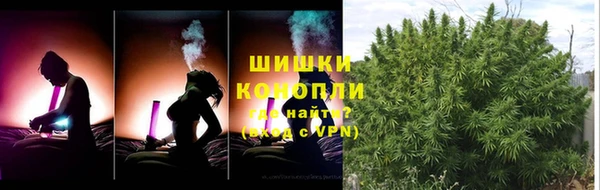 спиды Богданович