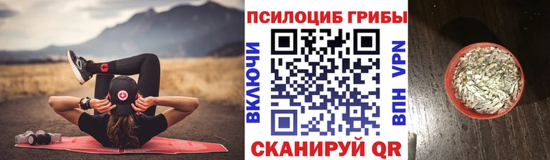 Псилоцибиновые грибы Psilocybe где найти наркотики Мураши